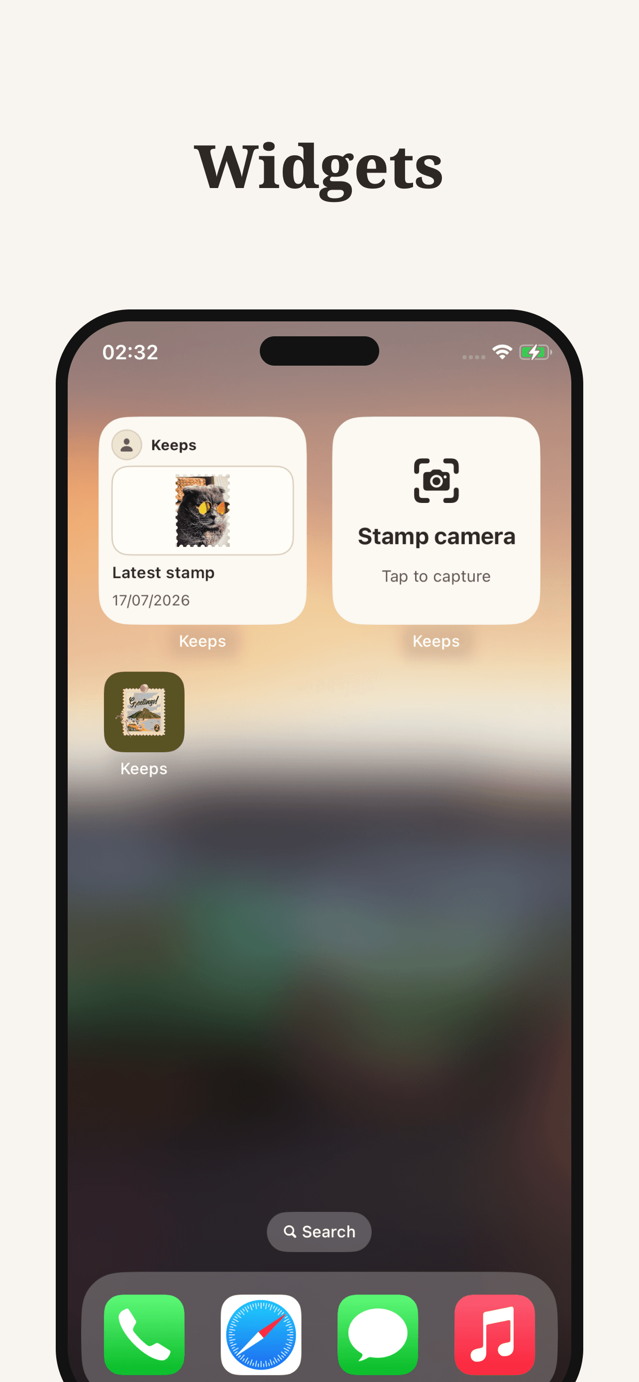 Keeps App Store preview of home screen widgets and quick camera access